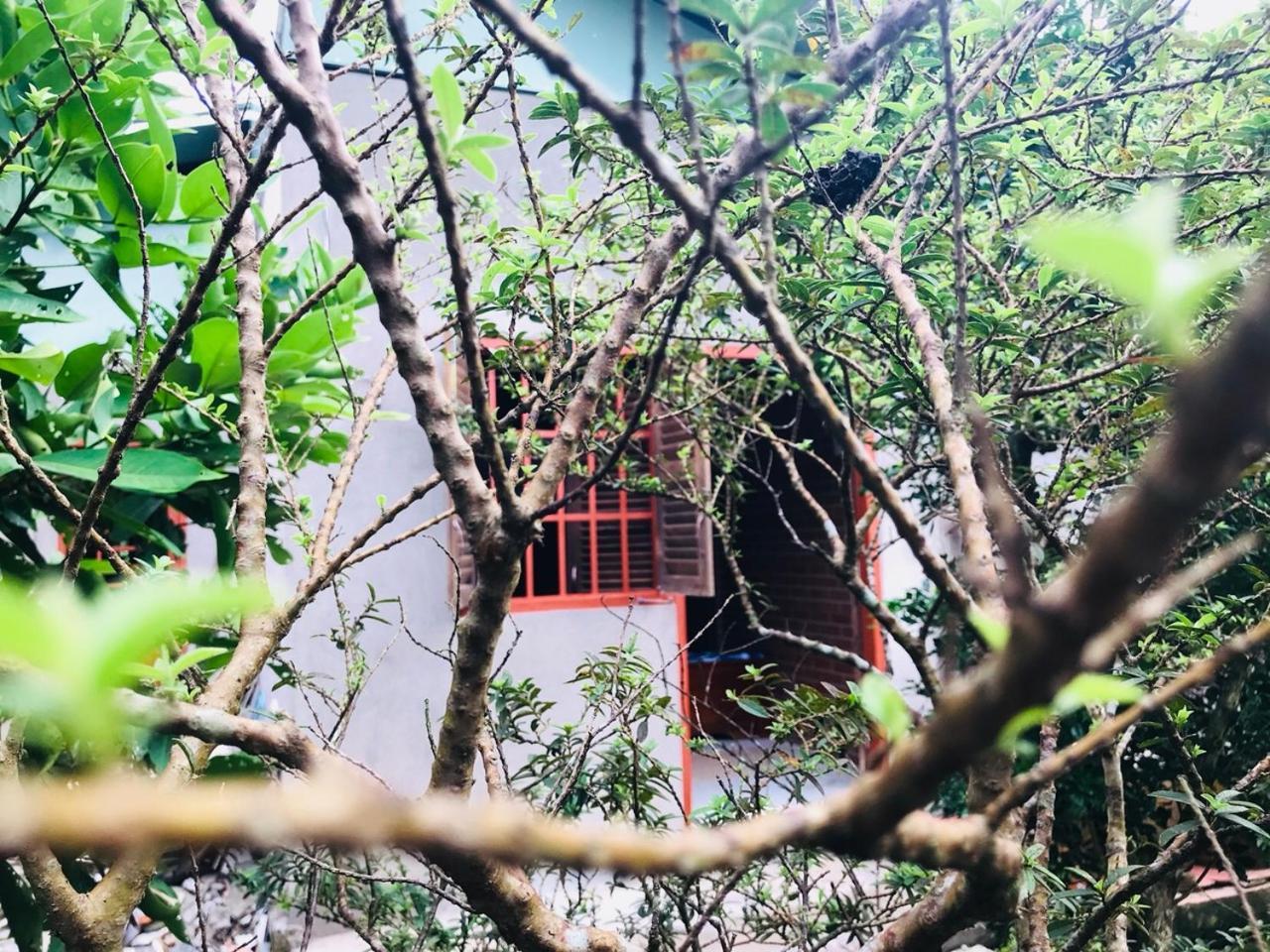 Mekong Rustic Cai Be Apartman Kültér fotó